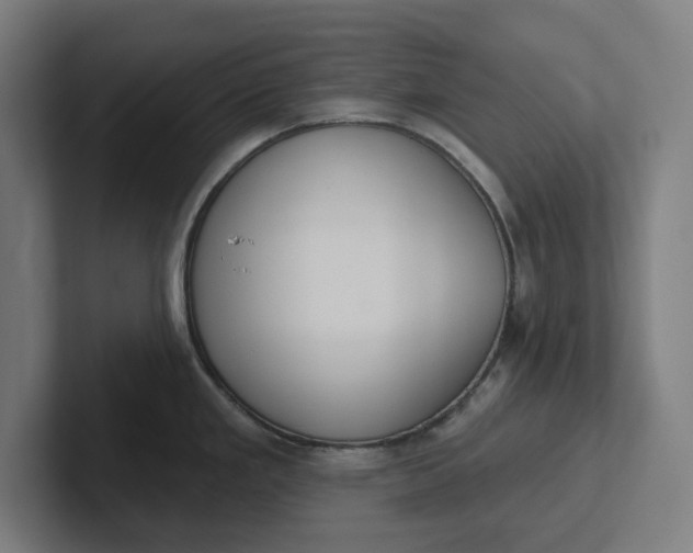 X0000102001293200808011114