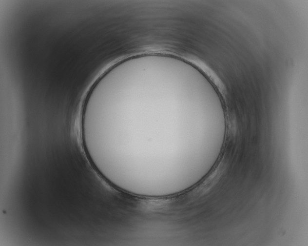 X0000102001294200808011114