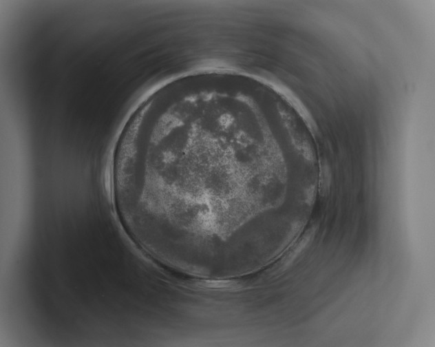 X0000102001295200808011114