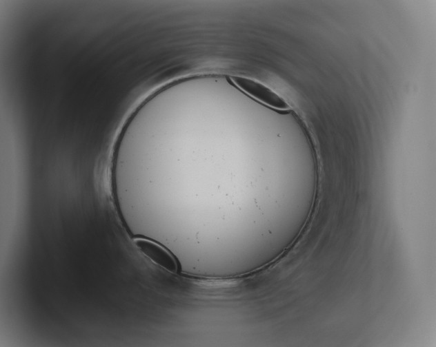 X0000102001296200808011114