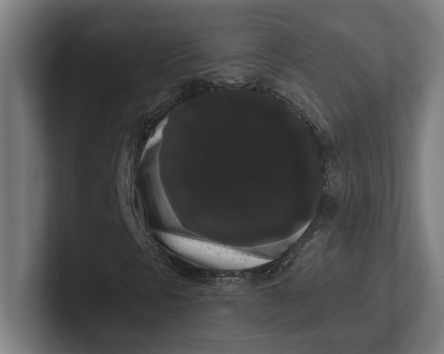 X0000102001297200808011113