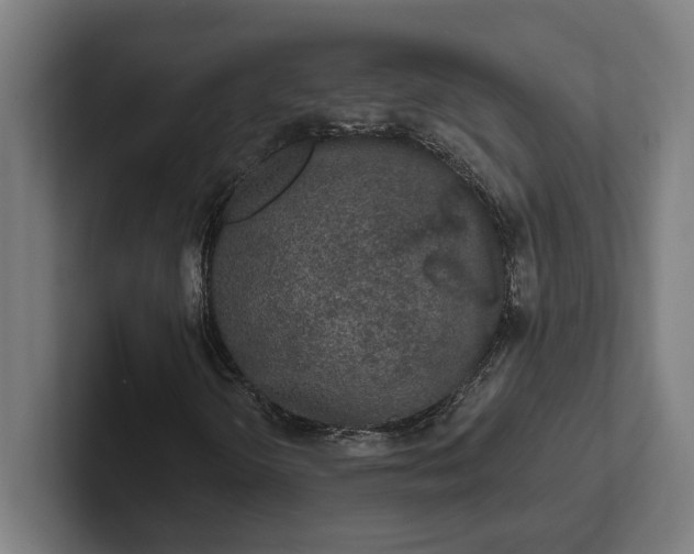 X0000102001298200808011113