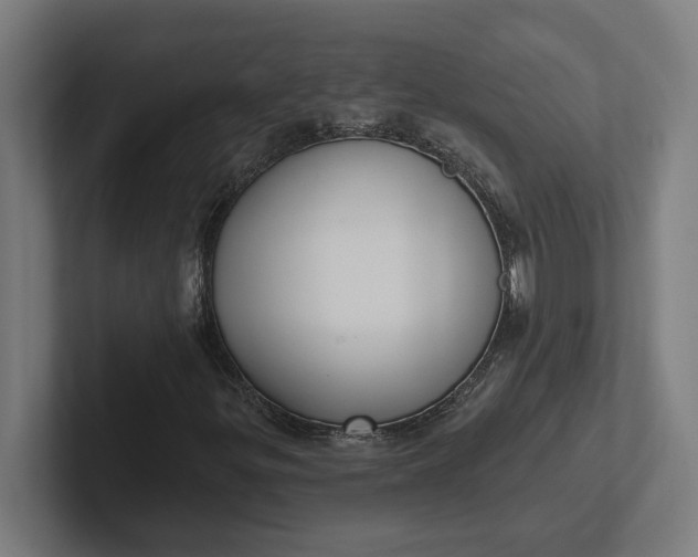 X0000102001299200808011113