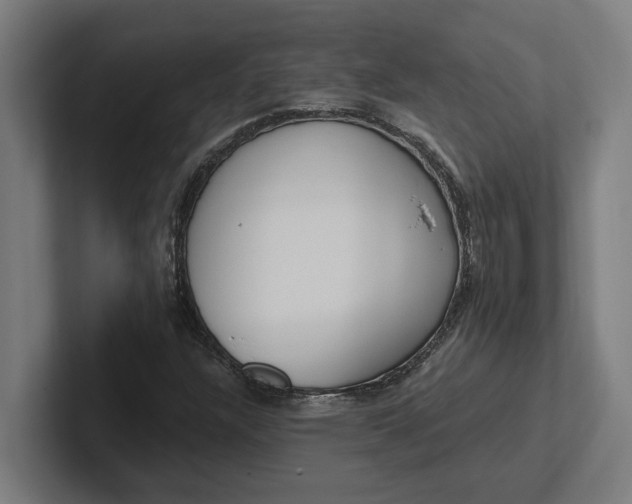 X0000102001304200808011113