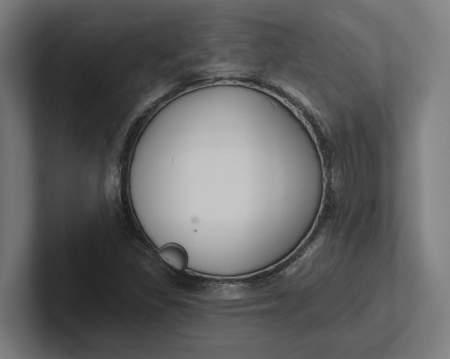 X0000102001309200808011113