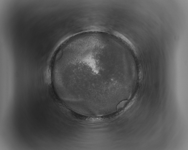 X0000102001310200808011113