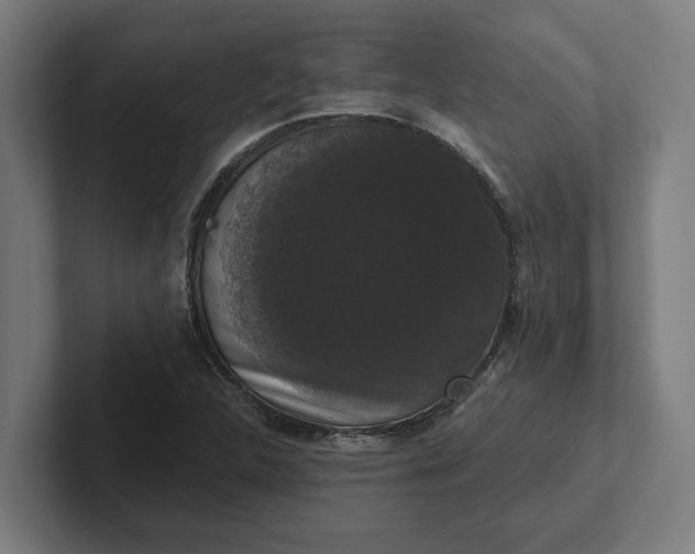 X0000102001312200808011113