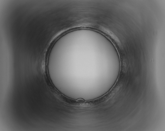 X0000102001316200808011113