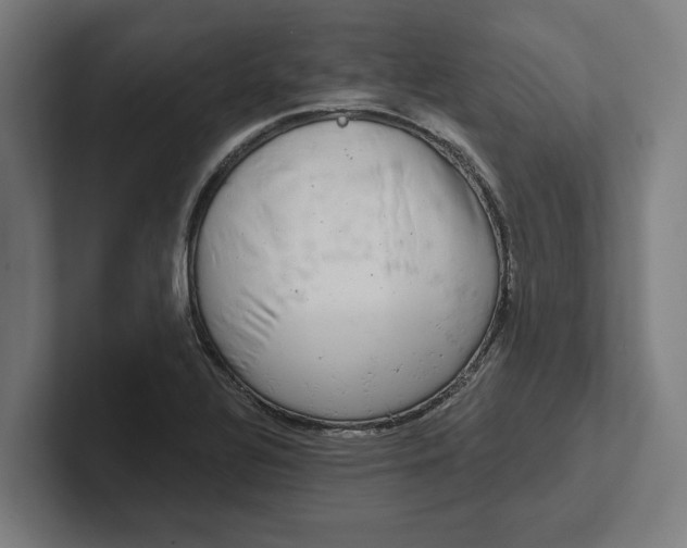 X0000102001320200808011113