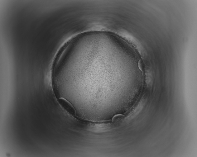 X0000102001326200808011113