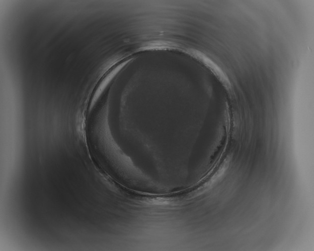 X0000102001329200808011114