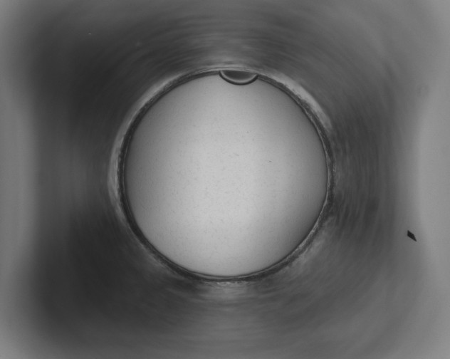 X0000102001333200808011114