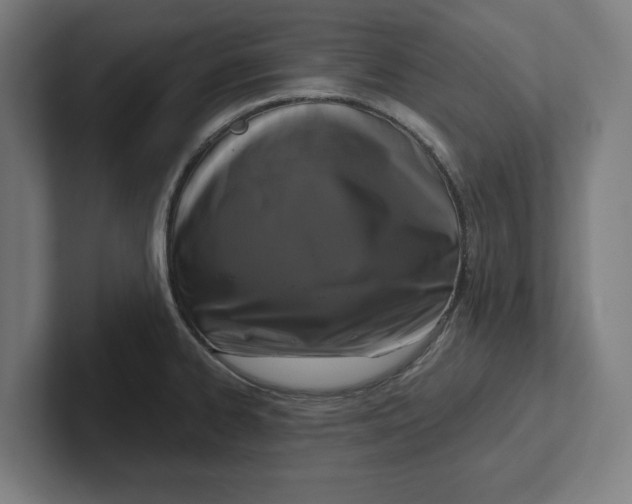 X0000102001334200808011114