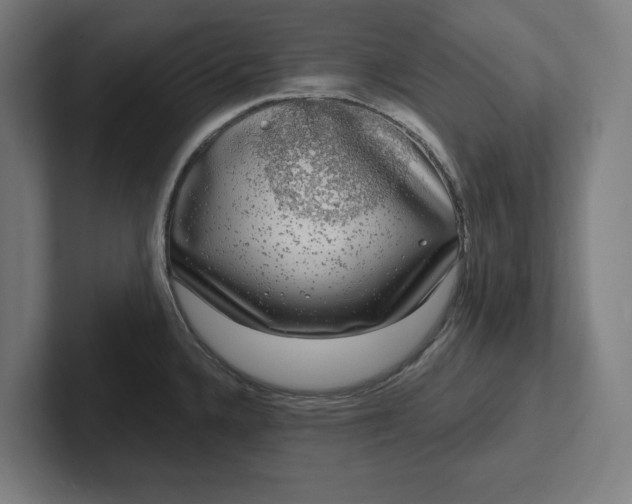 X0000102001336200808011114