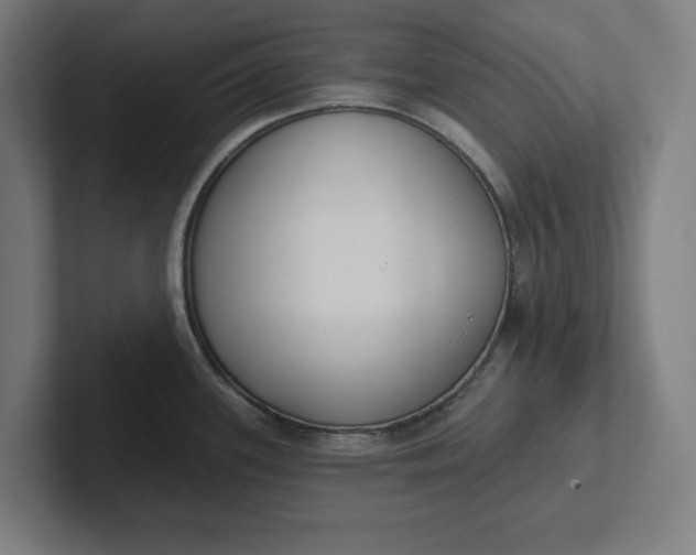 X0000102001339200808011114