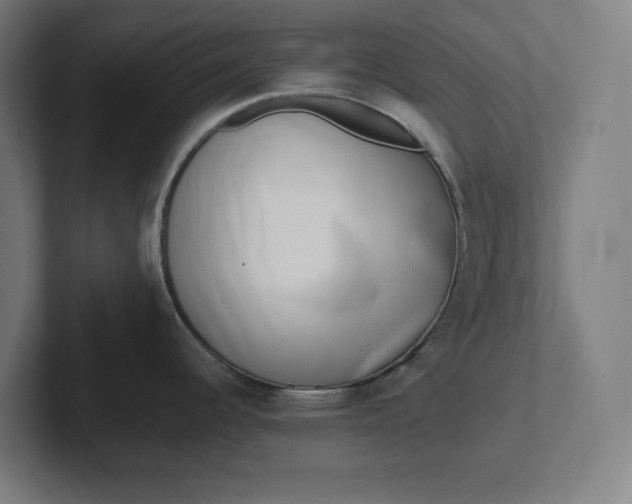 X0000102001344200808011114