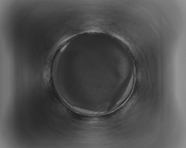 X0000102001359200808011113