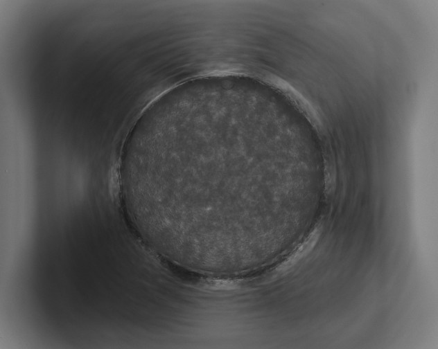 X0000102001361200808011113