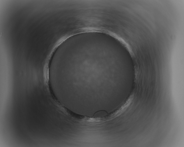 X0000102001365200808011113