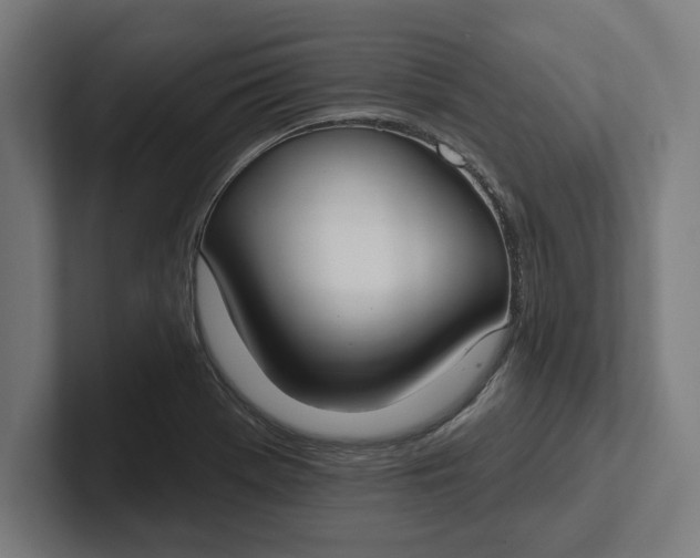 X0000102001369200808011113