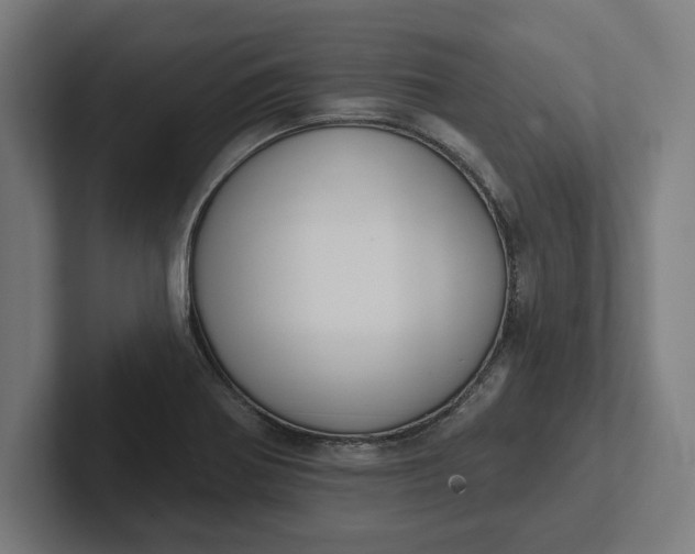 X0000102001370200808011113