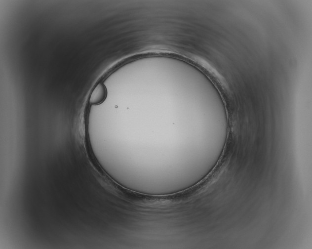 X0000102001372200808011113