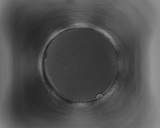 X0000102001373200808011113