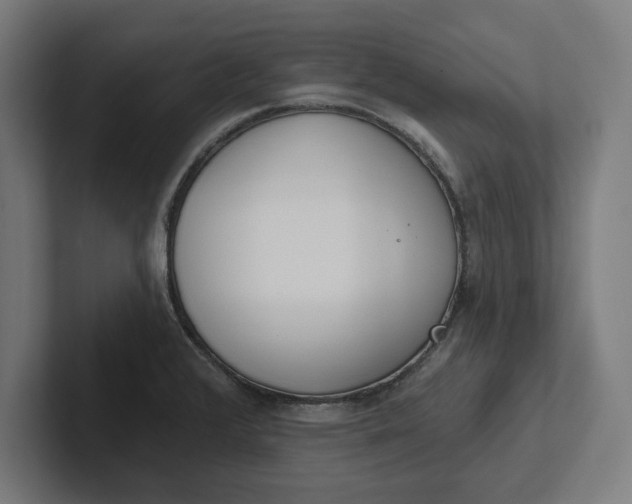 X0000102001376200808011113