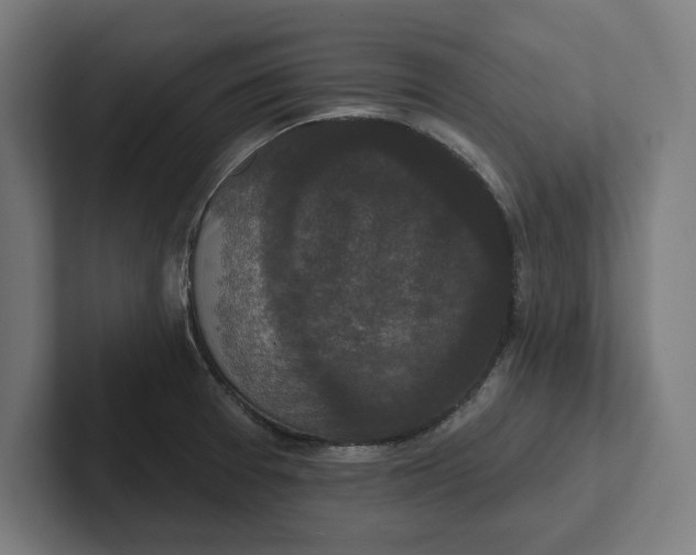 X0000102001377200808011113