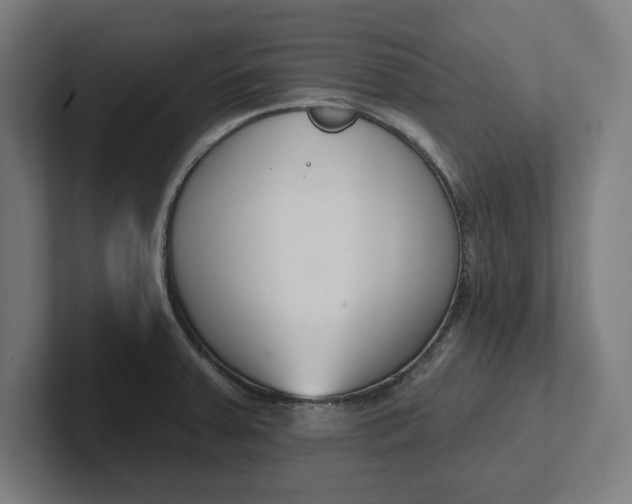 X0000102001379200808011113