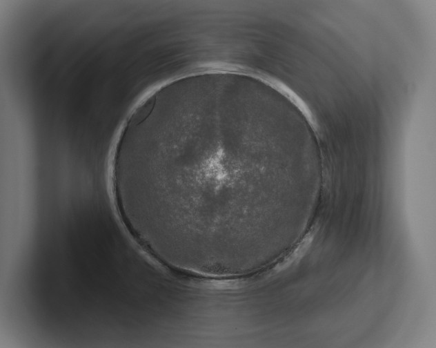 X0000102001381200808011113