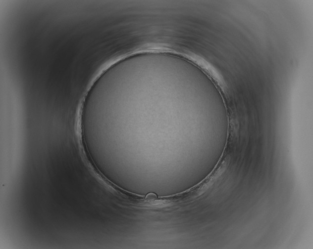 X0000102001382200808011113