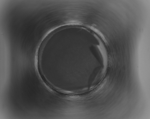 X0000102001383200808011113