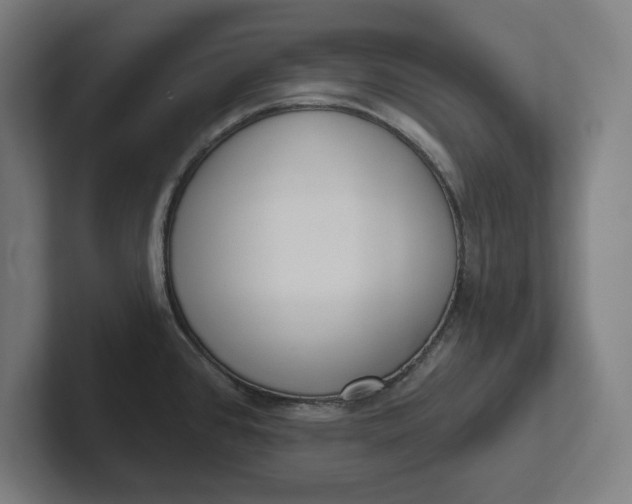 X0000102001384200808011113