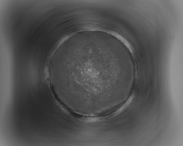 X0000102001385200808011113