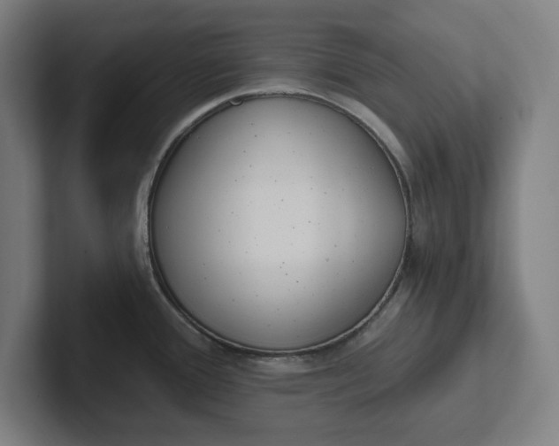 X0000102001388200808011113