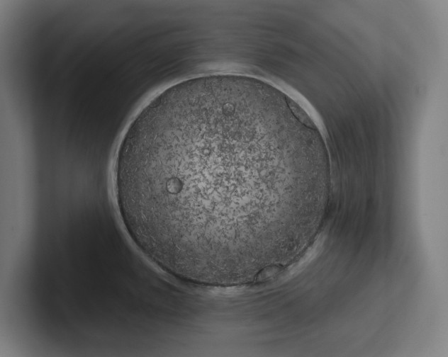 X0000102001389200808011113