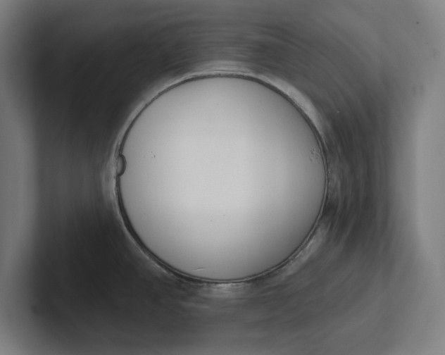 X0000102001390200808011112