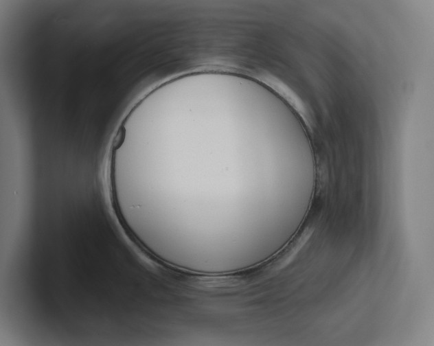 X0000102001391200808011112