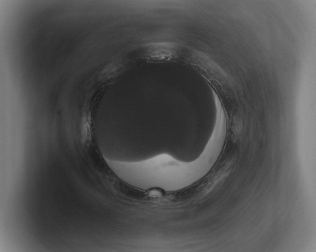 X0000102001394200808011112