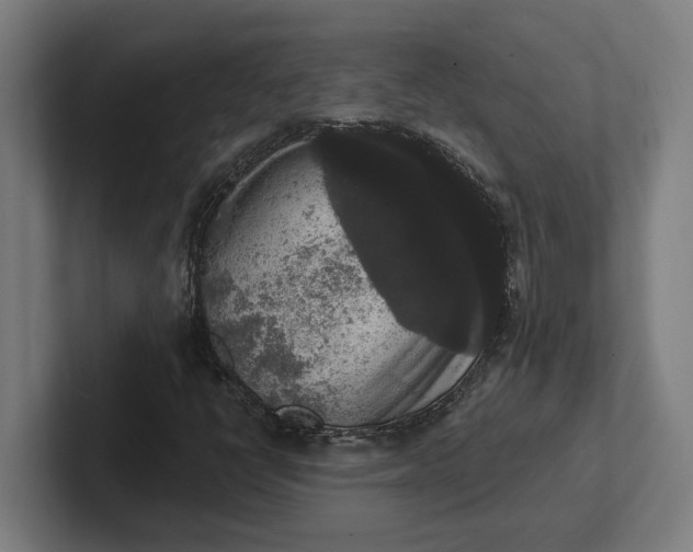 X0000102001398200808011112