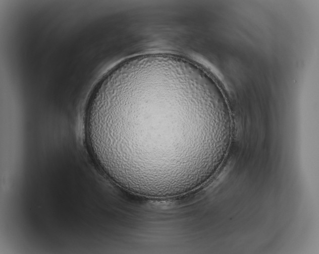 X0000102001415200808011112