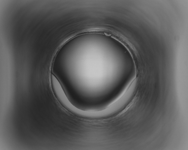 X0000102001417200808011112