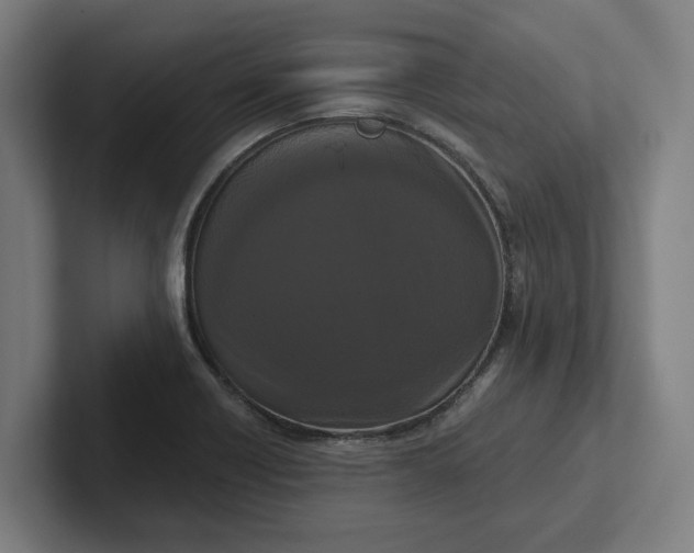 X0000102001418200808011112