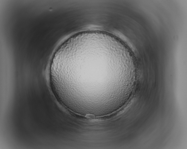 X0000102001421200808011112