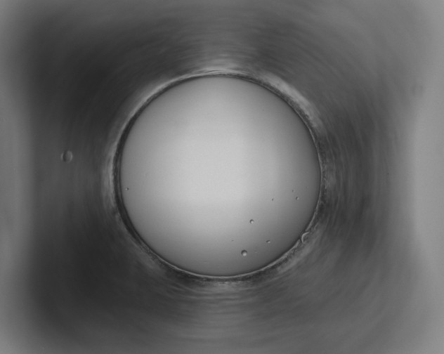 X0000102001423200808011112