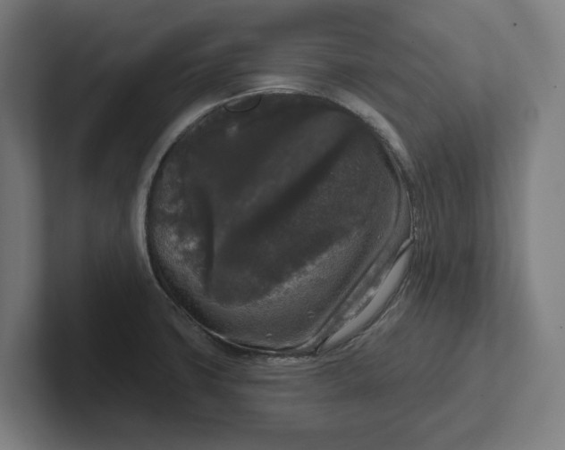 X0000102001427200808011112