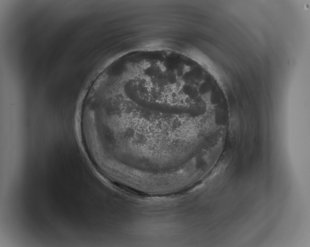 X0000102001429200808011112