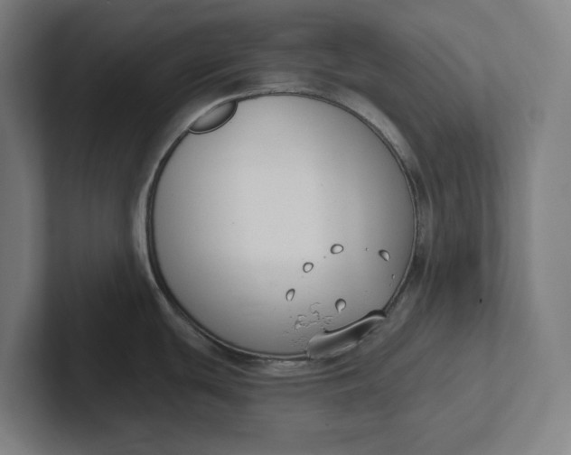 X0000102001439200808011112