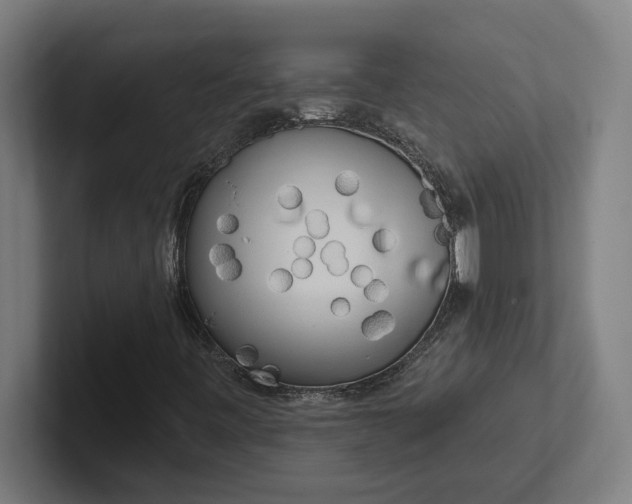 X0000102001443200808011112